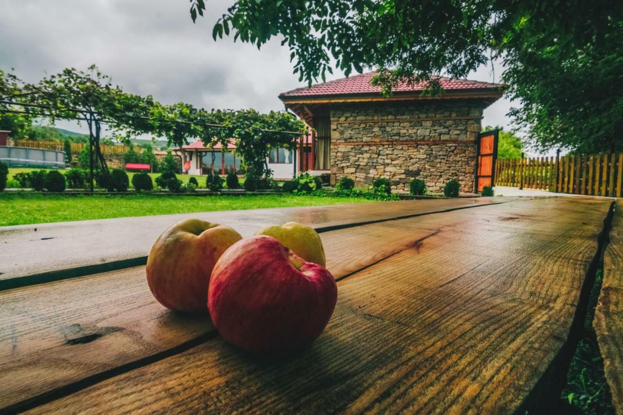 Завоя Hotel Krusuna Kültér fotó