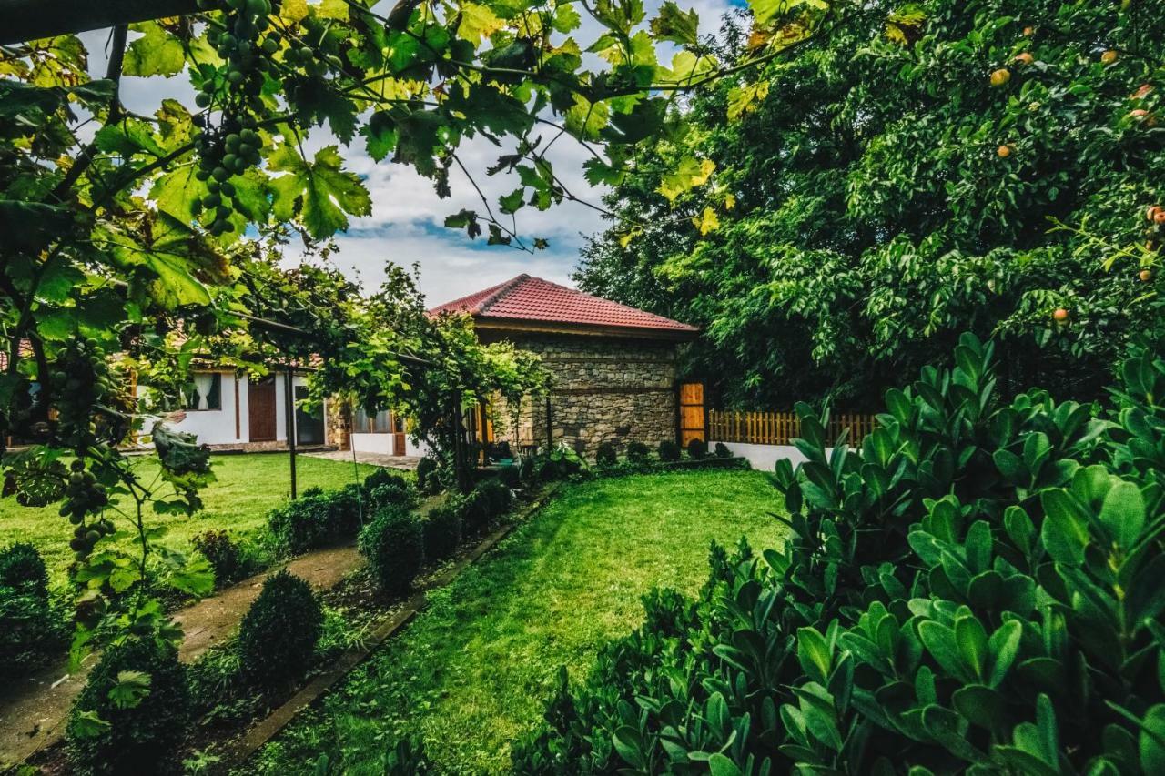 Завоя Hotel Krusuna Kültér fotó